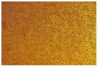 Holographic Sparkle Iron-on Gold (2004141) (DISCONTINUED)
