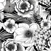 Deluxe Paper Black & White Botanicals (2008049)...