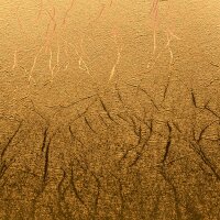 Premium Vinyl Textured Metallic Gold (2007741)